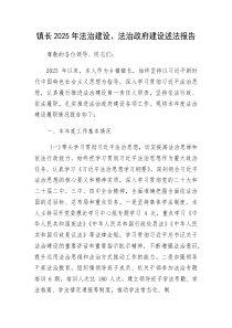 (新编)乡镇镇长2025年法治建设、法治政府建设述法报告