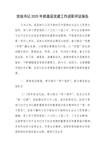(新编)党组书记2025年抓党建工作述职评议报告4300字
