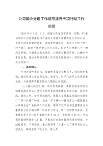 (新编)公司国企党建工作规范提升专项行动工作总结