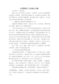 (新编)公司财务个人总结（33篇）