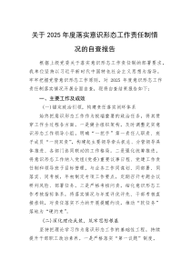 (新编)关于2025年度落实意识形态工作责任制情况的自查报告