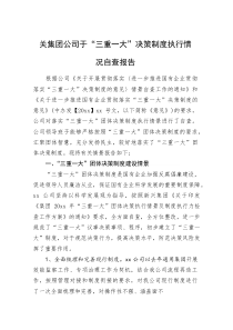 (新编)关集团公司于“三重一大”决策制度执行情况自查报告