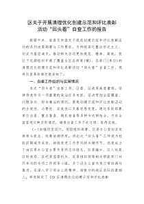 (新编)区关于开展清理优化创建示范和评比表彰活动“回头看”自查工作的报告