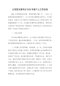 (新编)国企党支部书记2025年度个人工作总结（述职）