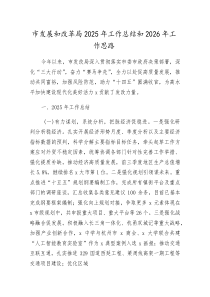 (新编)市发改局2025年工作总结和2026年工作思路