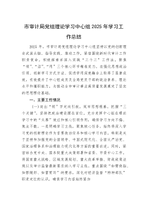 (新编)市审计局党组理论学习中心组2025年学习工作总结