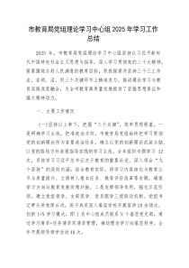 (新编)市教育局理论学习中心组学习工作总结