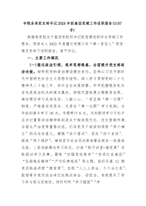 (新编)市税务局党支部书记2025年抓基层党建工作述职报告（3157字）