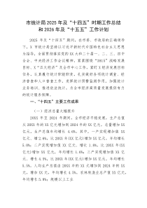 (新编)市统计局2025年及“十四五”时期工作总结和2026年及“十五五”工作计划
