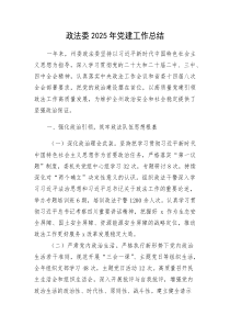 (新编)政法委2025年党建工作总结3300字