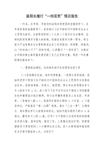 (新编)税务系统副局长履行“一岗双责”情况报告