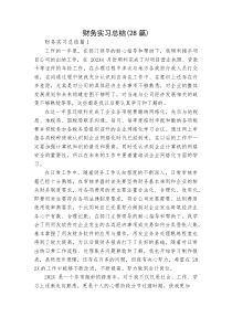 (新编)财务实习总结（28篇）