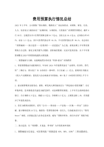 (新编)费用预算执行情况总结