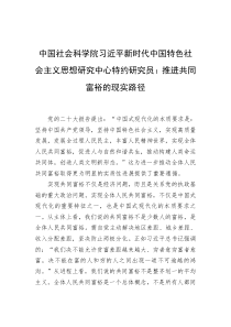 中国社会科学院习近平新时代中国特色社会主义思想研究中心特约研究员推进共同富裕的现实路径