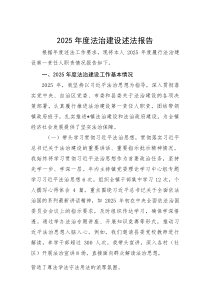 2025年度法治建设述法报告【参考】
