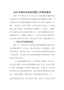 2025年度社会组织党建工作情况报告【参考】
