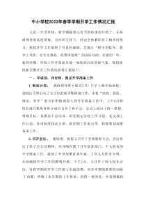 中小学校20XX年春季学期开学工作情况汇报