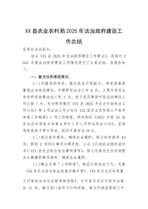 XX县农业农村局2025年法治政府建设工作总结【参考】