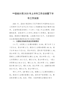 XX县统计局2025年上半年工作总结暨下半年工作安排【参考】