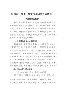 XX旗审计局关于公文抄袭问题专项整治工作的总结报告【参考】