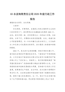 XX水泥有限责任公司2025年度行政工作报告【参考】