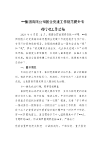 XX集团有限公司国企党建工作规范提升专项行动工作总结【参考】