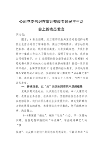 公司党委书记在审计整改专题民主生活会上的表态发言【参考】