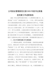 公司综合管理部党支部2025年度书记抓基层党建工作述职报告【参考】