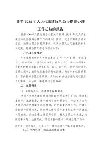 关于2025年人大代表建议和政协提案办理工作总结的报告【参考】