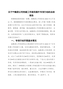 关于集团公司党建工作规范提升专项行动的总结报告【参考】