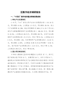 区数字经济调研报告【参考】