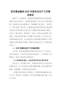 县交通运输局2025年度安全生产工作情况报告【参考】