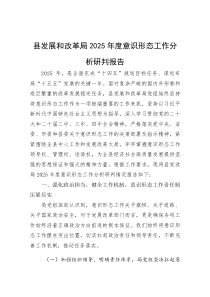 县发展和改革局2025年度意识形态工作分析研判报告【参考】