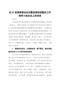 在县委常委会会议暨县委巡视整改工作领导小组会议上的讲话【参考】