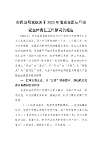 市民政局党组关于2025年落实全面从严治党主体责任工作情况的报告【参考】