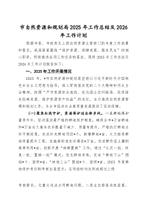 市自然资源和规划局2025年工作总结及2026年工作计划【参考】