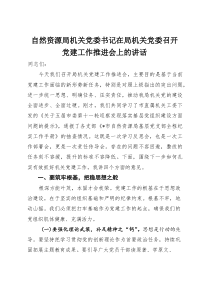 自然资源局机关党委书记在局机关党委召开党建工作推进会上的讲话【参考】