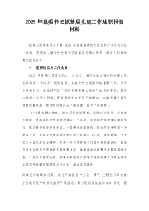 2025年党委书记抓基层党建工作述职报告材料【整理】