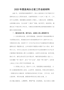 2025年度县局办公室工作总结材料【整理】