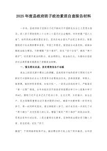 2025年度县政府班子政治素质自查报告材料【整理】