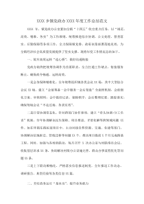 XXXX乡镇党政办XXXX年度工作总结