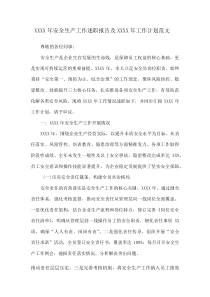 XXXX年安全生产工作述职报告及XXXX年工作计划范文