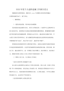 XXXX年度个人述职述廉工作报告范文