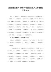 县交通运输局2025年度安全生产工作情况报告材料【整理】
