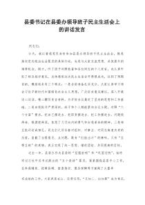 县委书记在县委办领导班子民主生活会上的讲话发言【整理】