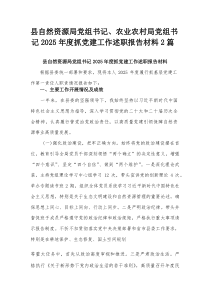 县自然资源局党组书记、农业农村局党组书记2025年度抓党建工作述职报告材料2篇【整理】