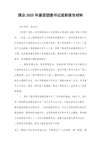 国企2025年基层团委书记述职报告材料【整理】