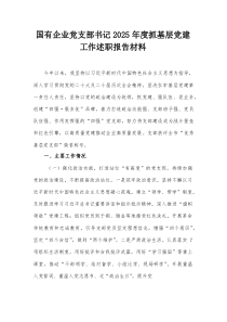 国有企业党支部书记2025年度抓基层党建工作述职报告材料【整理】