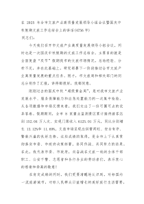 在2025年全市文旅产业高质量发展领导小组会议暨国庆中秋假期文旅工作总结会上的讲话（4756字）