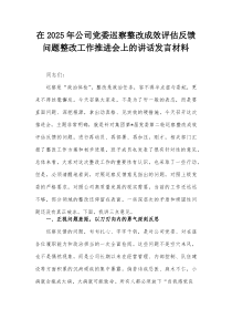 在2025年公司党委巡察整改成效评估反馈问题整改工作推进会上的讲话发言材料【整理】